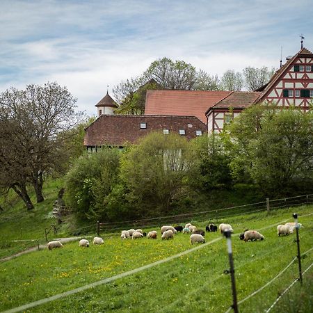 Hotel & Tagungszentrum Schloss Hohenfels Hohenfels  Extérieur photo