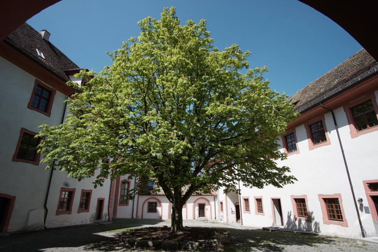 Hotel & Tagungszentrum Schloss Hohenfels Hohenfels  Extérieur photo