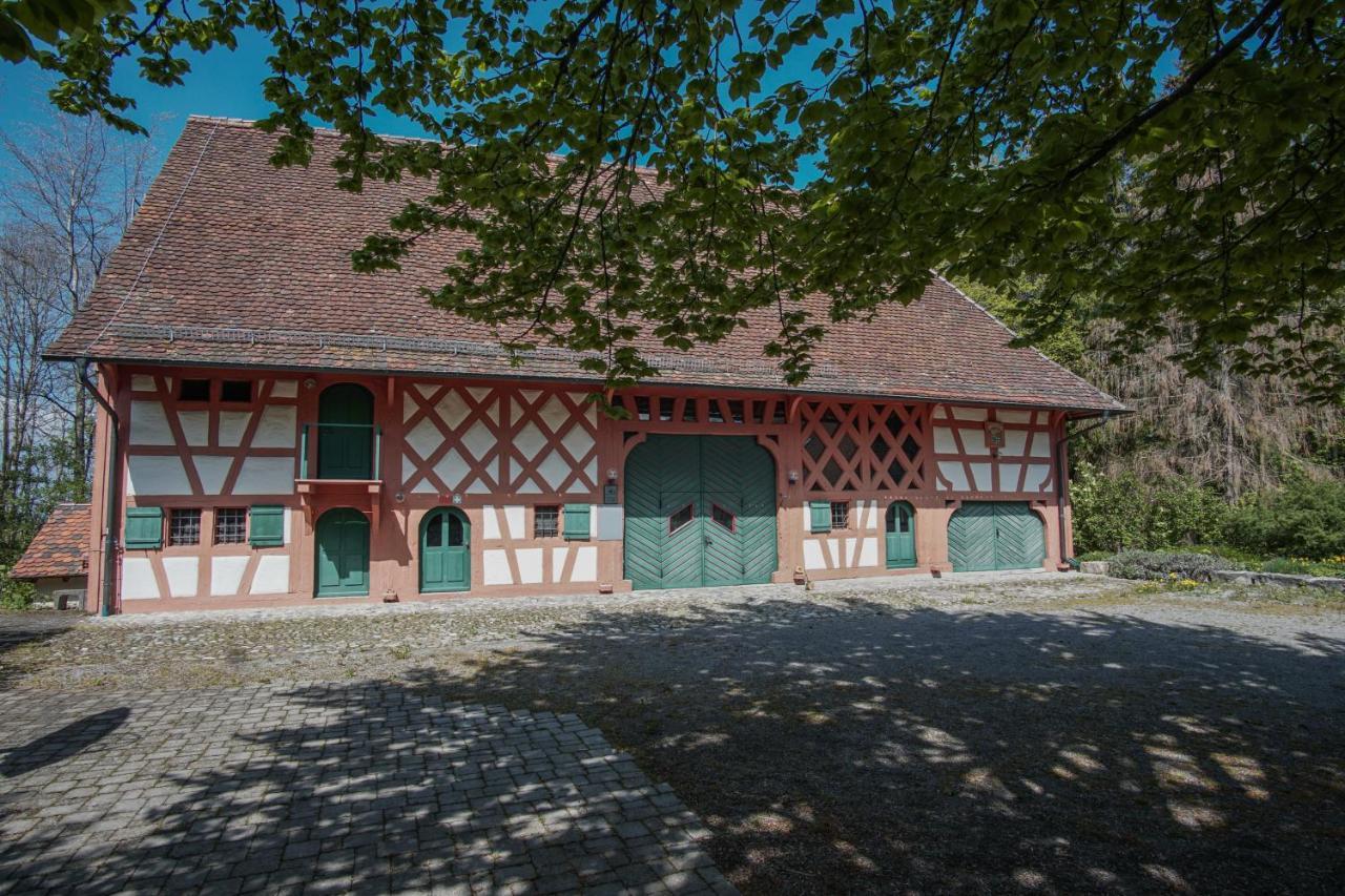 Hotel & Tagungszentrum Schloss Hohenfels Hohenfels  Extérieur photo