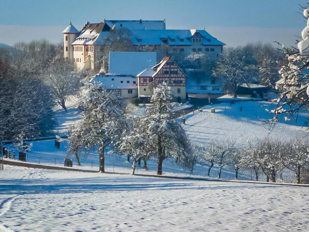 Hotel & Tagungszentrum Schloss Hohenfels Hohenfels  Extérieur photo