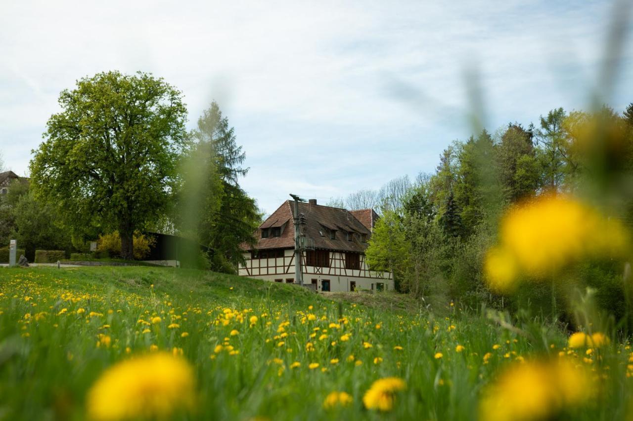 Hotel & Tagungszentrum Schloss Hohenfels Hohenfels  Extérieur photo