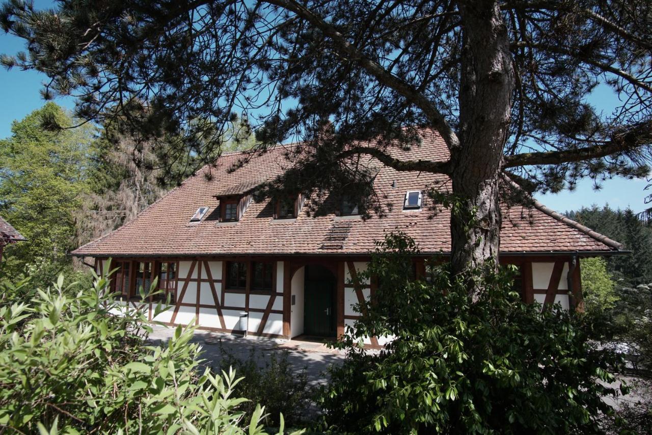 Hotel & Tagungszentrum Schloss Hohenfels Hohenfels  Extérieur photo