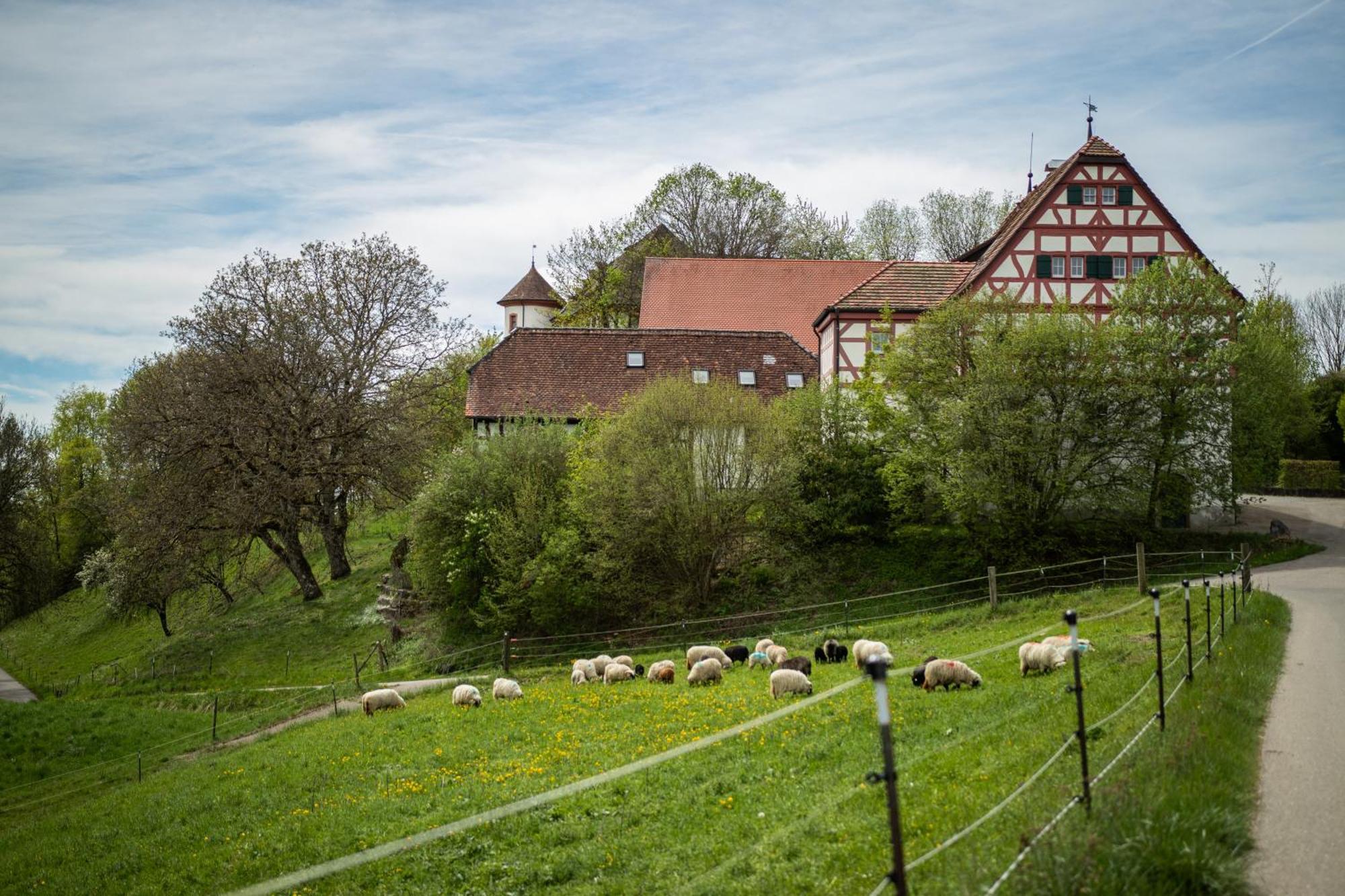 Hotel & Tagungszentrum Schloss Hohenfels Hohenfels  Extérieur photo